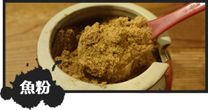 魚粉